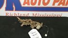 181.mz1404 04 Mazda Mpv Van Left