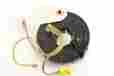 1634600249 Mercedes-benz Used Oem 2000 Air Bag Clock Spring 1634600249 Mercedes-benz Used Oem 2000 Air Bag Clock Spring