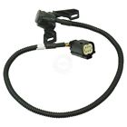 Am-873695221 Am Autoparts Rear Reverse