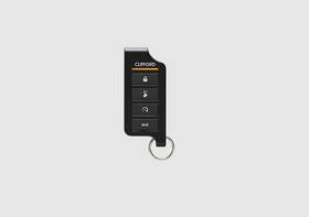 3606x Clifford 1-way Car Alarm With Keyless Entry And Shock Sensor