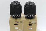 Toyota Sequoia 2008-2020 Oem Genuine Rear Pneumatic Cylinder Left & Right Set. Fixed Price $599.99.