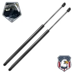 2PCS Rear Tailgate Liftgate Supports Gas Shock Struts For Toyota 4RUNNER 2010-23. Fixed Price $32.93.