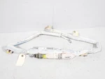 Bmw F01 740I 750I Left Driver Side Curtain Top Roof Head Oem. Fixed Price $82.77.