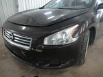 Maxima 2014 Horn 104958721. Fixed Price $33.99.