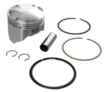 Cp-carrillo Big Bore Piston 95.00MM 600CC 10:1 3-067. Fixed Price $378.00.