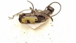 2000 Toyota Sienna Passenger Side Front Door Lock Actuator Assembly. Fixed Price $97.99.