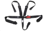Impact Racing 51111111 Racer Series 5-POINT Harness With Hans Compatibility. Fixed Price $199.41.