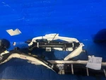 2021-2022- Toyota Venza Roof Airbag ( Lh & Rh ). Fixed Price $1590.00.