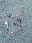 Chrysler Crossfire Central Locking Vacuum Pump Wiring Connectors Mercedes SLK230. Fixed Price $50.00.
