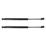 For Nissan Maxima 2007-2008 Trq Driver & Passenger Side Hood Lift Supports. Fixed Price $46.81.