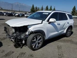 Passanger Front Seat Air Bag Oem 20-25 Hyundai Palisade 80620S8000. Fixed Price $150.00.