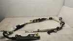 2012-2015 Honda Civic Coupe Door Oem Lh Driver Side Roof Curtain Assembly. Fixed Price $168.00.