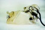2000 - 2006 Mercedes Benz Class W220 Washer Reservoir Bottle Windshield Oem. Fixed Price $60.66.