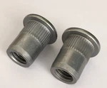 X2 Genuine Bmw Blind Rivet Nuts Flat Head M10 3 Series 4 51718065070. Fixed Price $26.84.