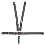 Impact Racing 5-PT Harness System Pull Down Nascar. Fixed Price $195.17.