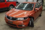 Passenger Forte Blk-pass Dash Wk Right. Fixed Price $99.99.