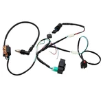 Lifan Yx Complete Kick Starter Engine Wiring Harness Loom Kit For 50CC Black. Fixed Price $30.66.