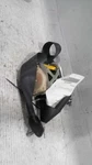 Seat Belt Front Bucket Driver Retractor Fits 03-08 Mazda 6 511195. Fixed Price $129.99.